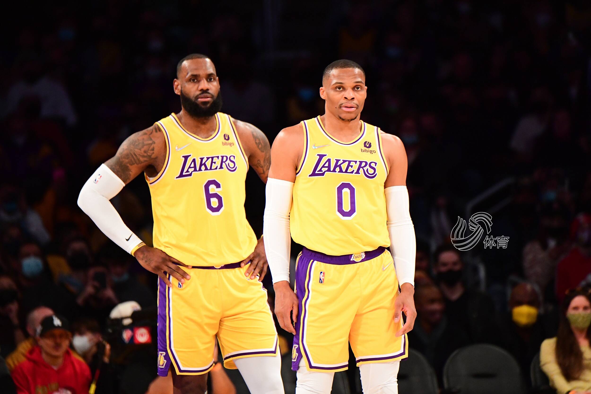 《尘封的记忆》第213期